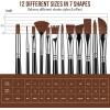 imageSooez 24Pcs Professional Art Paint Brushes Set 12 DifferentSize Brush for Acrylic Oil Watercolor 7 Shapes for Body Nail Face Painting Arts Crafts Supplies for Beginners Artists Adult Kids