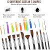 imageSooez 24Pcs Professional Art Paint Brushes Set 12 DifferentSize Brush for Acrylic Oil Watercolor 7 Shapes for Body Nail Face Painting Arts Crafts Supplies for Beginners Artists Adult Kids